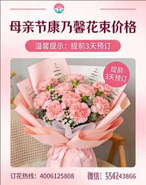 南平花店母亲节康乃馨花束