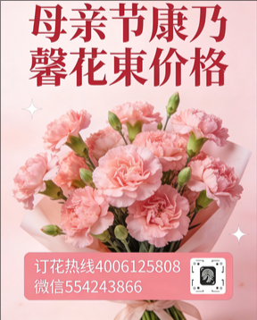 南平花店母亲节康乃馨花束
